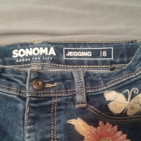 Sonoma Blue Skinny Jeans with Modern Fit And Embroidered Flowers - Picture 2 of 11